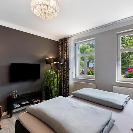 Harz Königshütte Apartment *